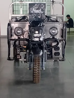 New Tricycle 2024 Gray