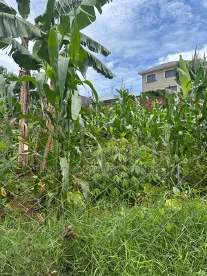 Land for Sell