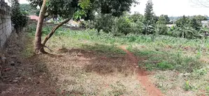 1 Acre of Land
