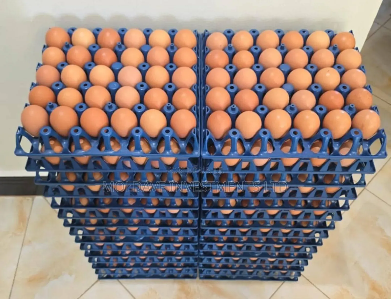 Plastic Trays on Discount