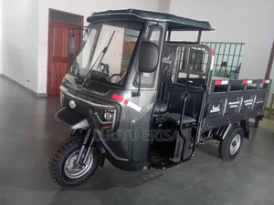 New Tricycle 2024 Gray