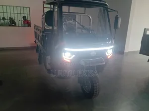 New Tricycle 2024 Gray