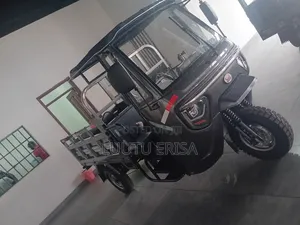 New Tricycle 2024 Gray