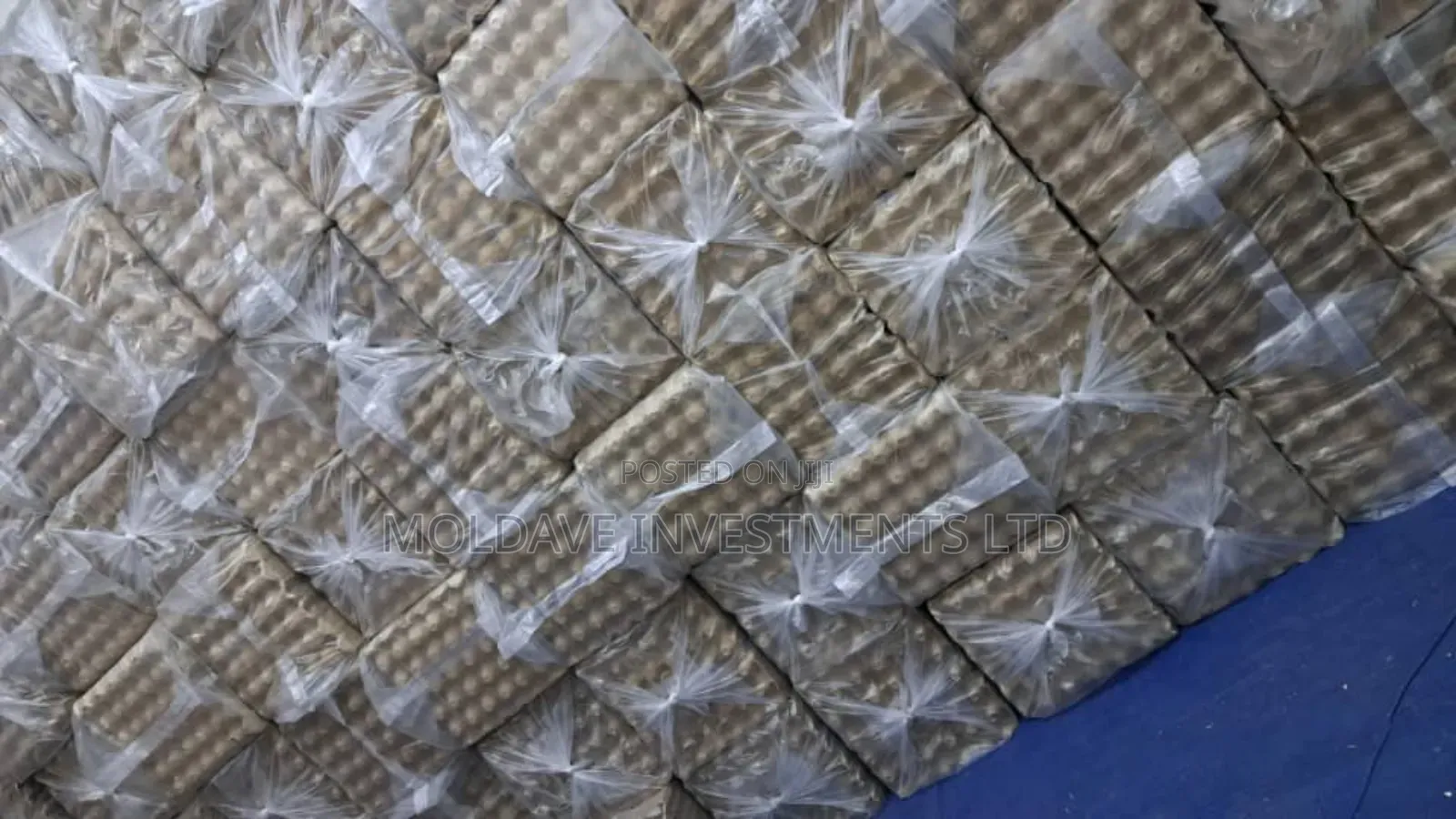 Paper Egg Trays
