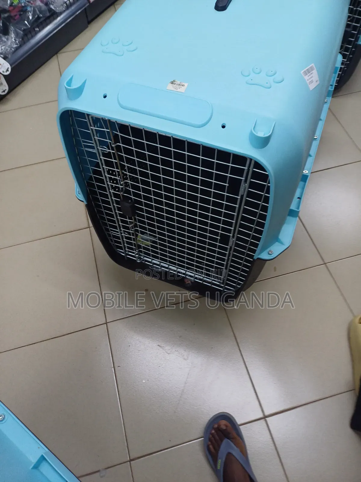 Dog Cages and Cats