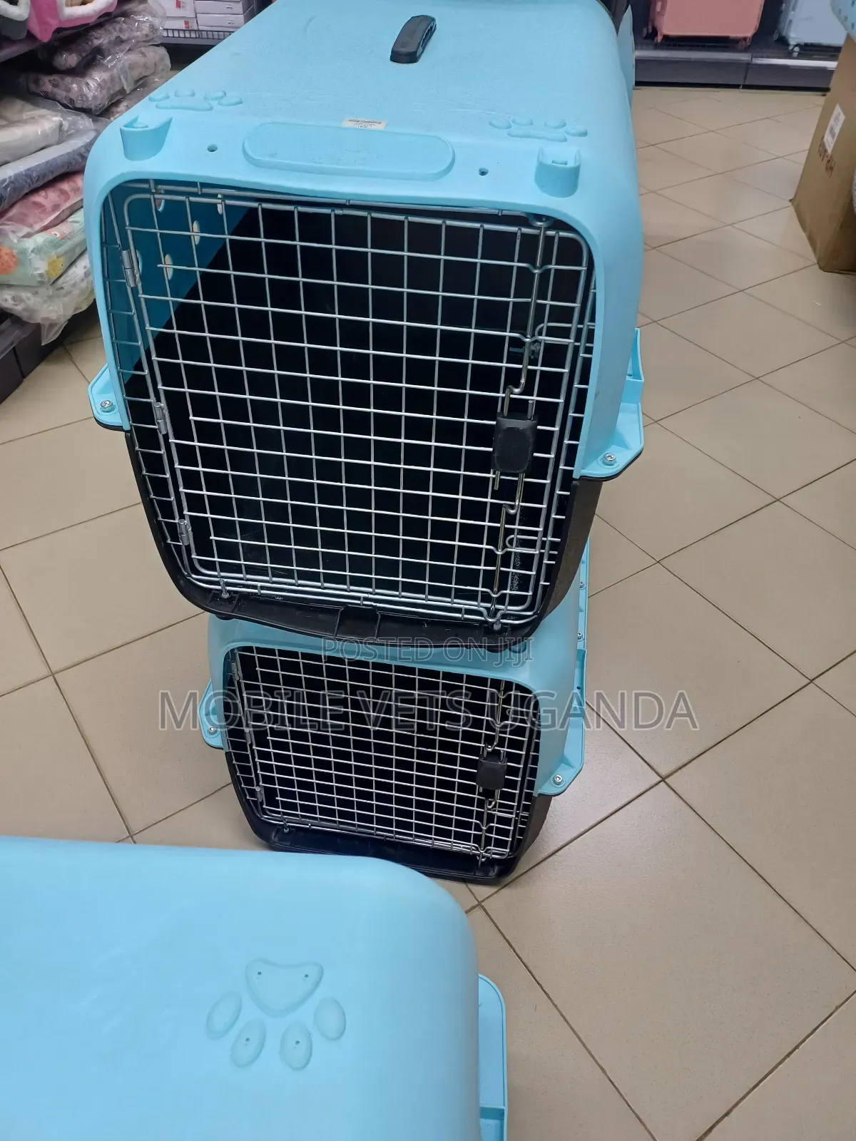 Dog Cages and Cats