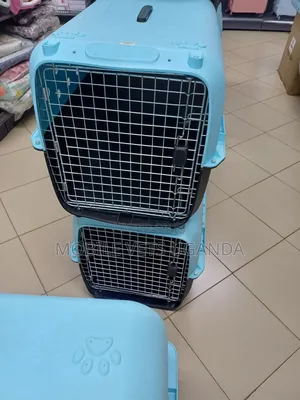 Dog Cages and Cats