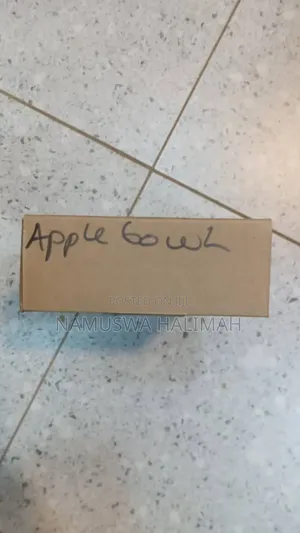Apple Magsafe Power Adapter.
