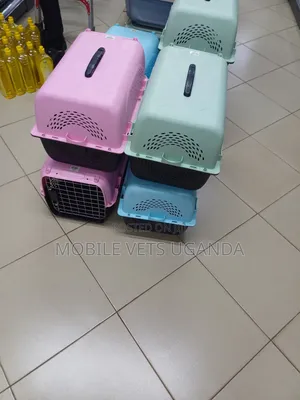 Cats and Dog House