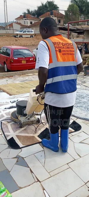 Expert Carpet Cleaning Services for Expert Stain Dust Pests Removal