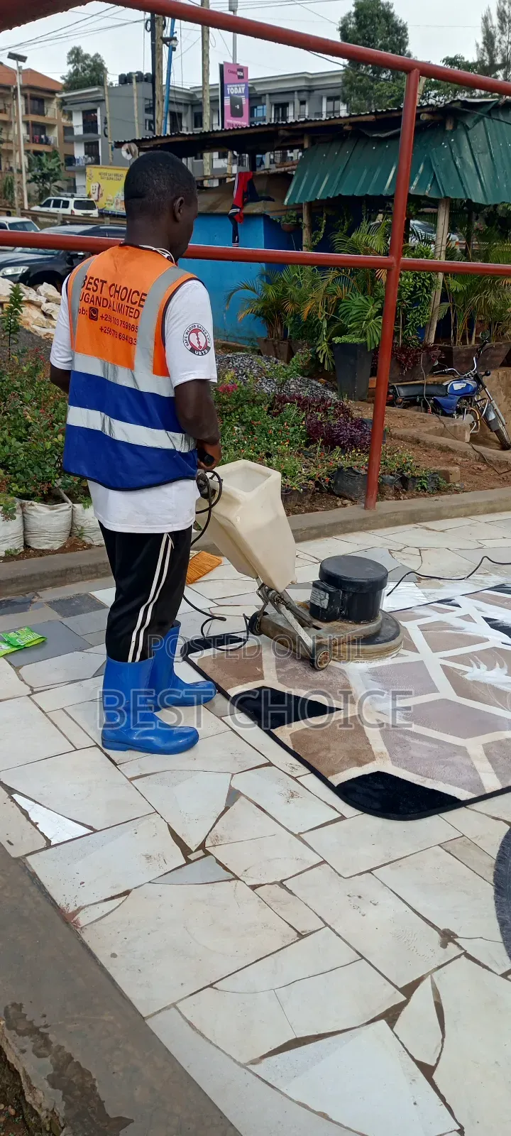 Expert Carpet Cleaning Services for Expert Stain Dust Pests Removal