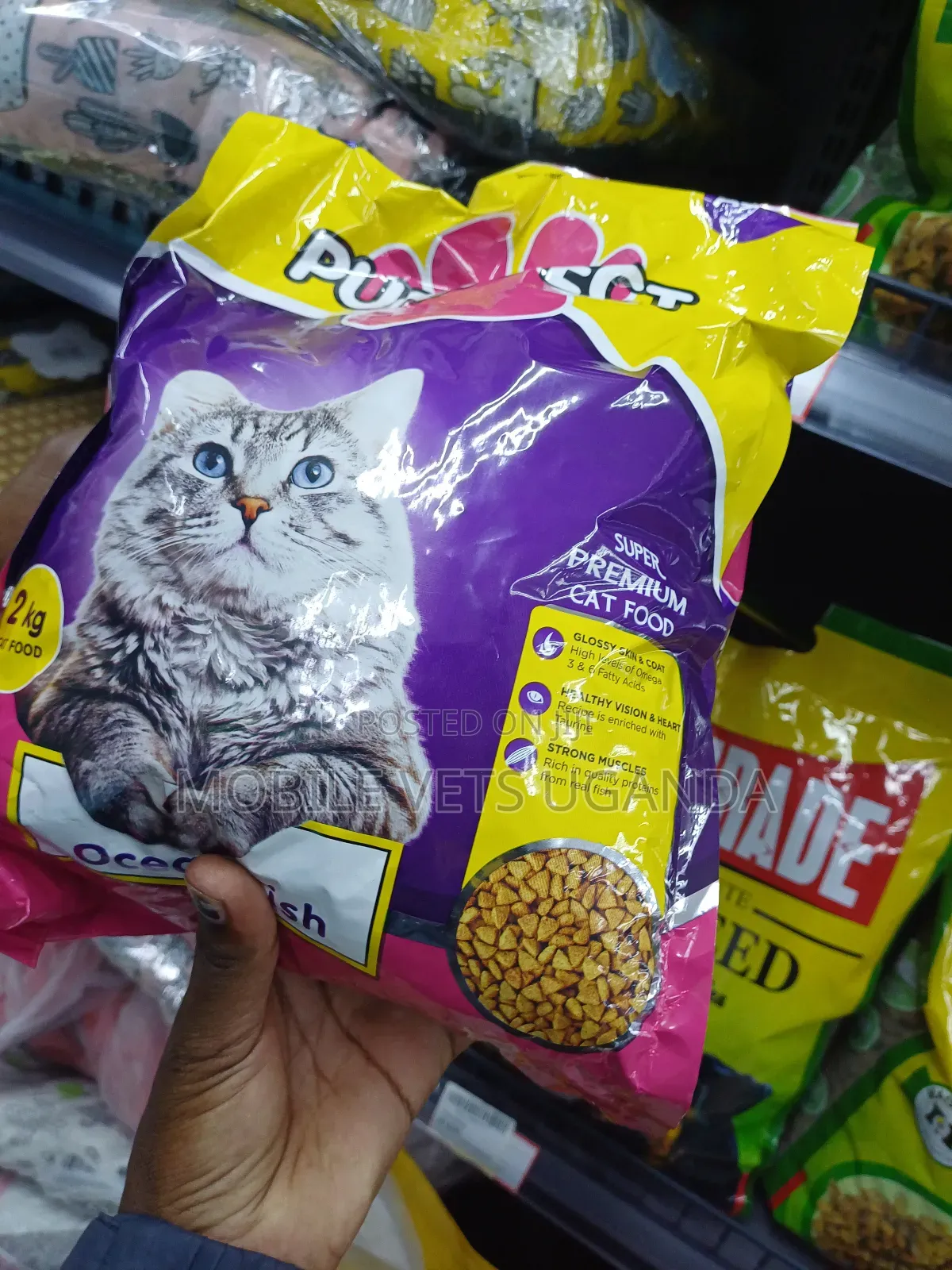 Cat and Pet Food