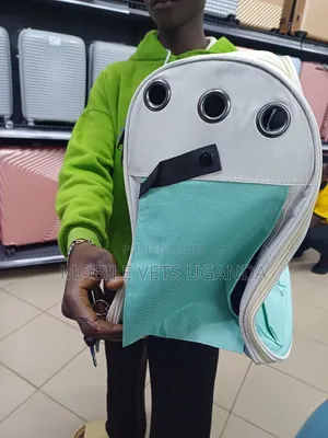 Mmoving Bag for Cats and Dogs