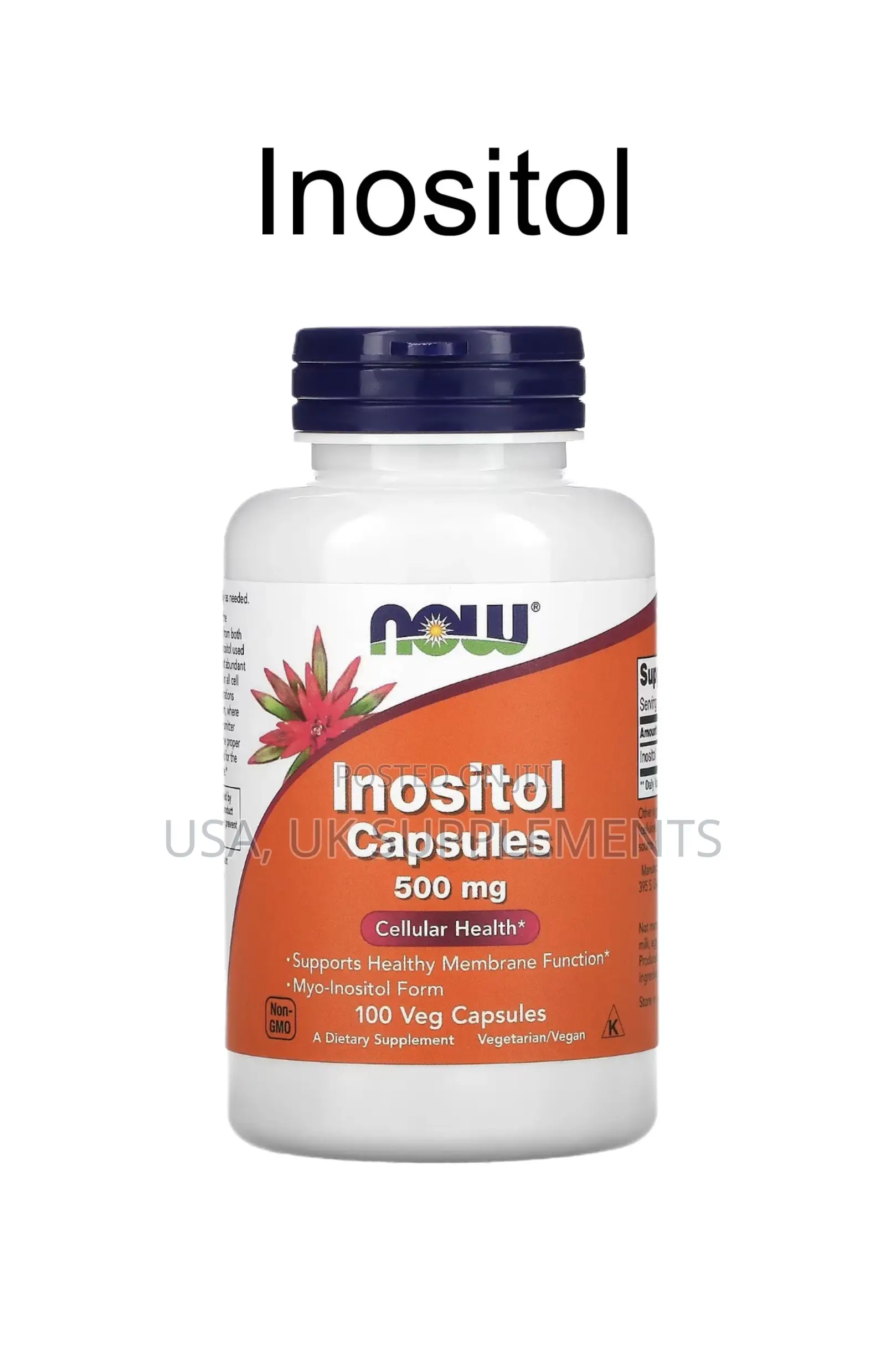 Now 500mg Inositol 100capsules
