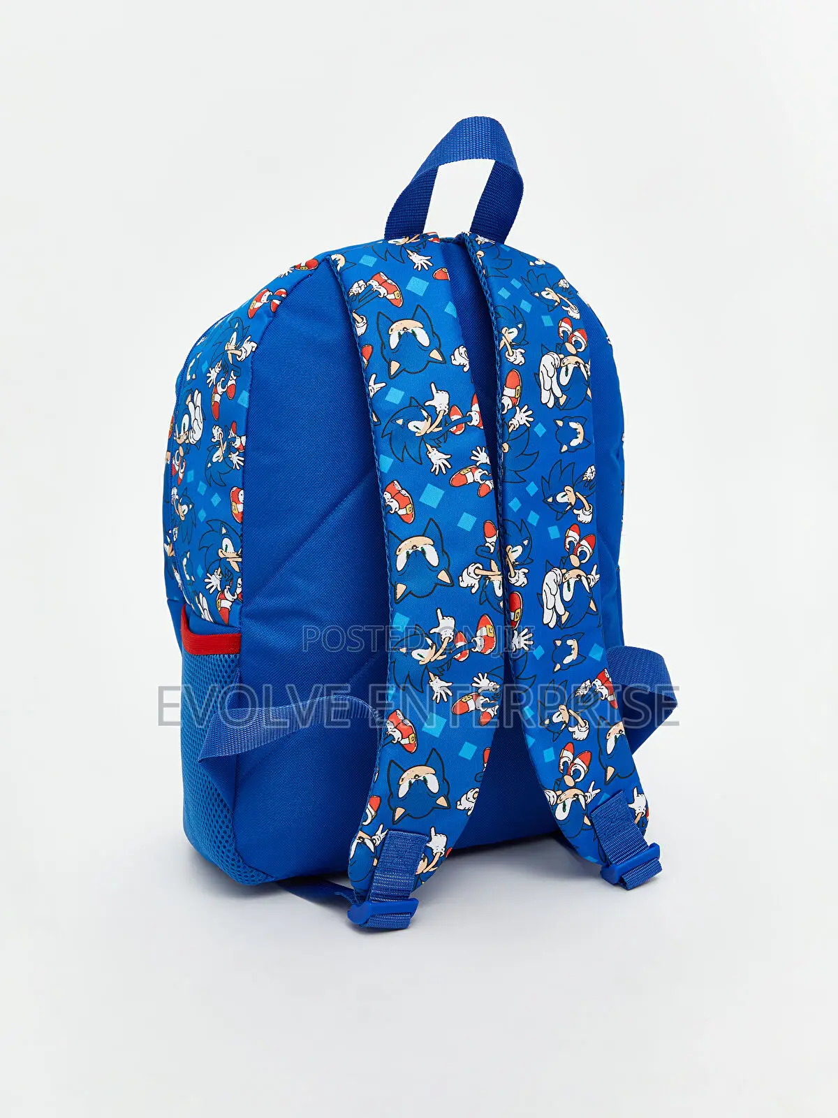 Sonic Printed Boys' School Bag