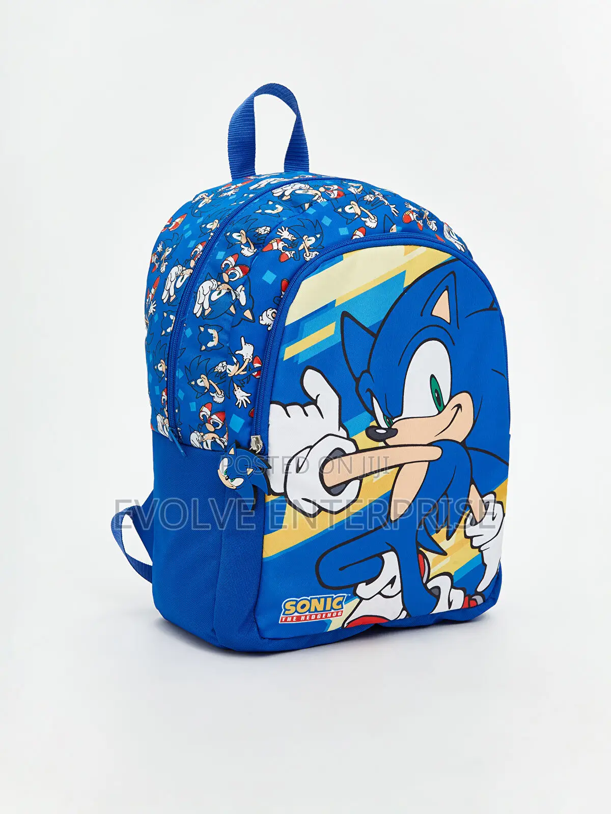 Sonic Printed Boys' School Bag