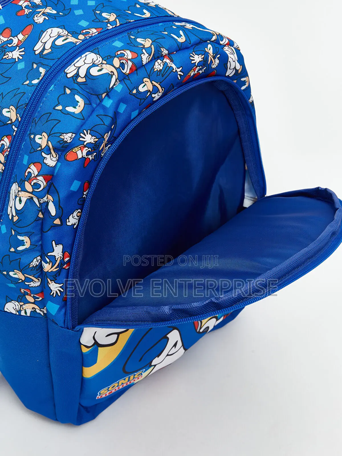 Sonic Printed Boys' School Bag