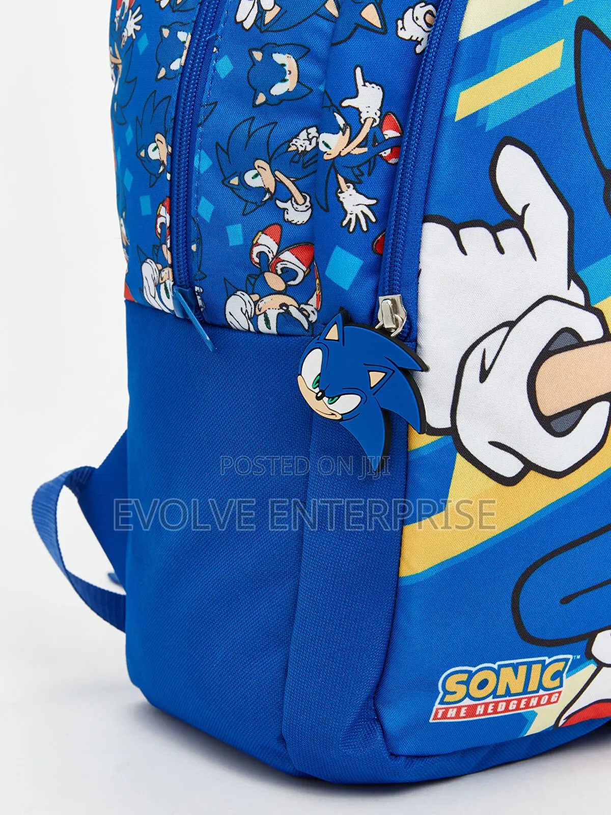 Sonic Printed Boys' School Bag