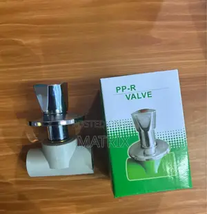 Shower Valve