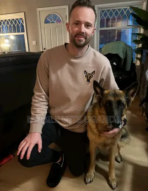 6-12 months Female Purebred German Shepherd