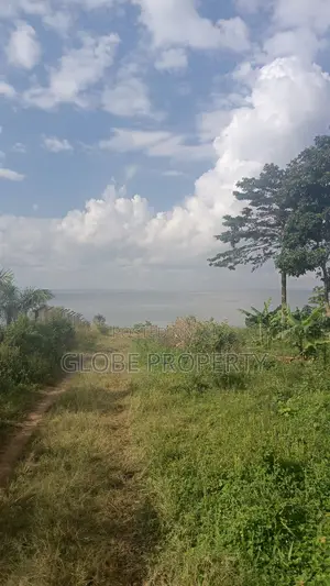 100 Acres of Farm Land for Sale in Kayunga Touching the River.