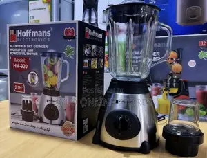 Hoffmans 2 in 1 Electric Glass Juice Blender and Grinder Hm 920