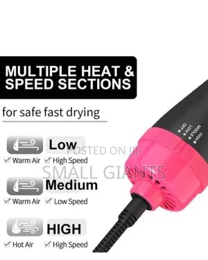 2 in 1 Hot Air Brush