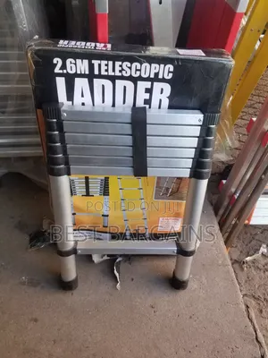 Telescopic Ladder