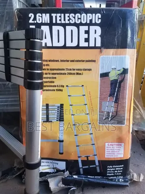 Telescopic Ladder