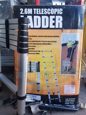 Telescopic Ladder