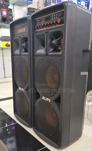 Professional Speaker System 60000w