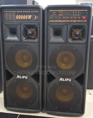 Professional Speaker System 60000w