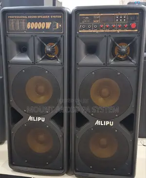 Professional Speaker System 60000w