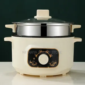 Portable Stainless Steel Electric Cooking Pot