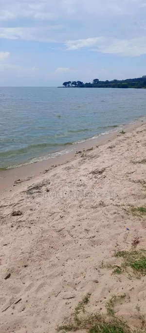 7 Acres of Beach Land in Pearl Marina Garuga