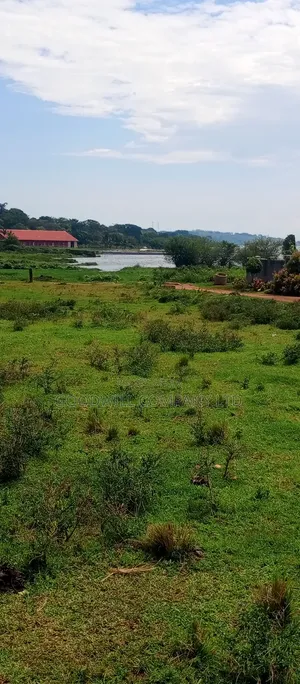 60 Decimals Of Land In Musinde Garuga Entebbe Rd W/T Lakevictoria View