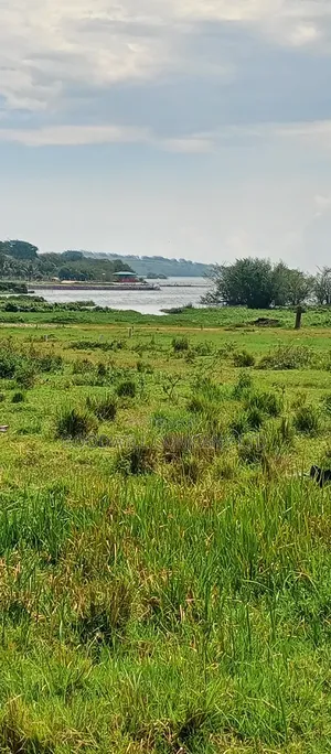 Lake View 27 Decimals Of Land In Garuga Musinde