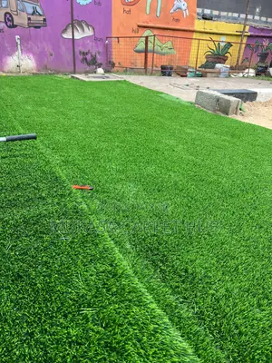 School Grass Carpets/Carpet