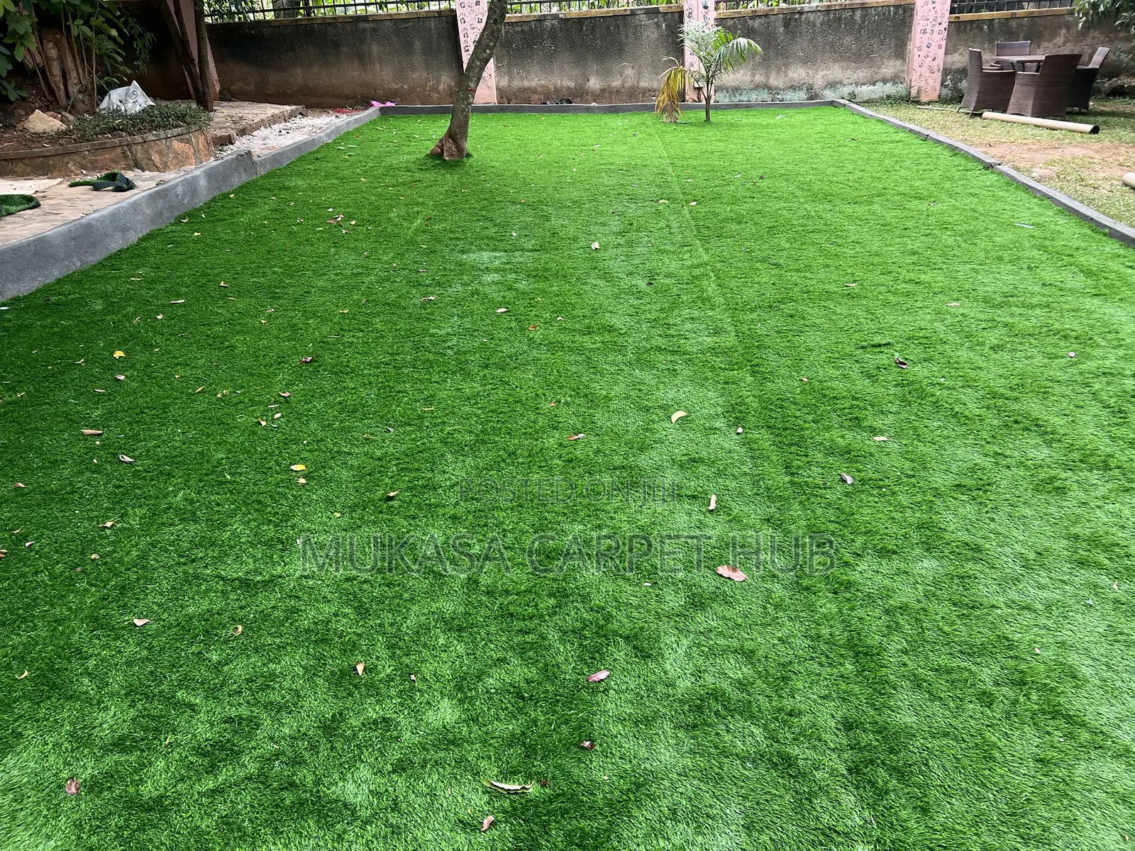 Premium Grass Carpets for Home Compound