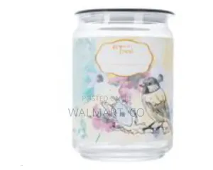 Luminarc 3 Piece Happy Bird Sugar Bowl Food Storage Jar