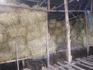 Grass for Cows