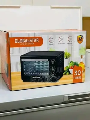 Globalstar 30l Electric Microwave