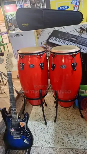 Conga Drums Pair