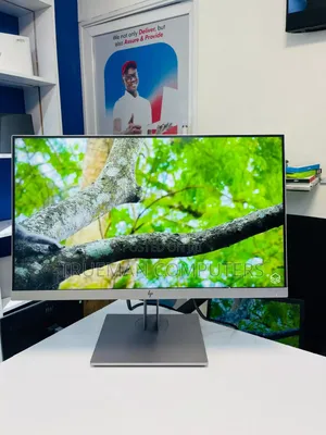 Computer Monitor
