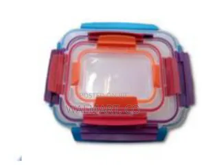 4 Piece Rainbow Color Food Storage Container