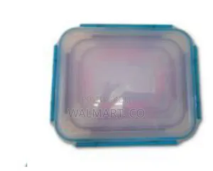 4 Piece Rainbow Color Food Storage Container