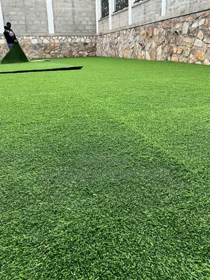 Indoor Outdoor Grass Carotid
