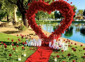 Proposal Decorations at Negotiable Price