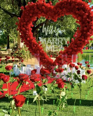 Proposal Decorations at Negotiable Price