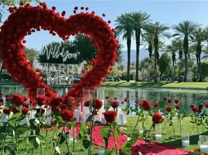 Proposal Decorations at Negotiable Price